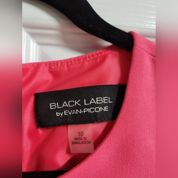 Black Label by Evan Picone - Pink, Sleeveless, Lined, Fitted Dress - Size 10 - Picture 3 of 6